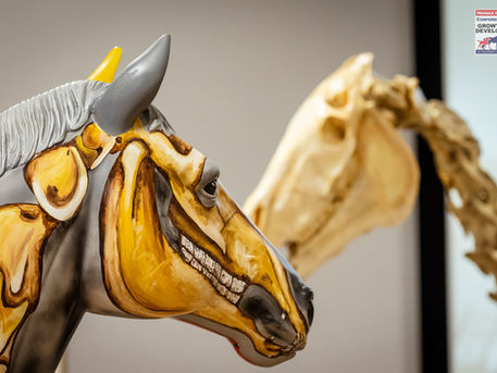 Exploring Equine Anatomy: A Visual Journey at the Horses Inside Out Exhibition