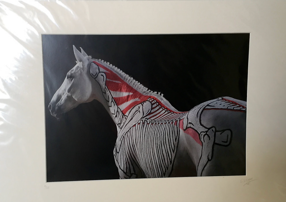 Thumbnail: Photographic Prints