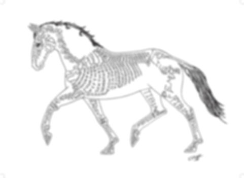 Skeleton Word Art Prints