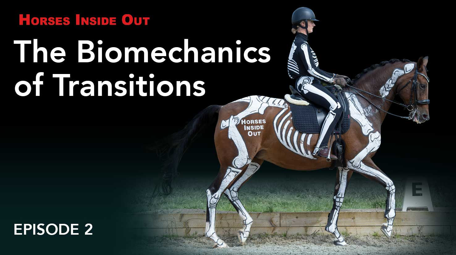 Biomechanics of Transitions