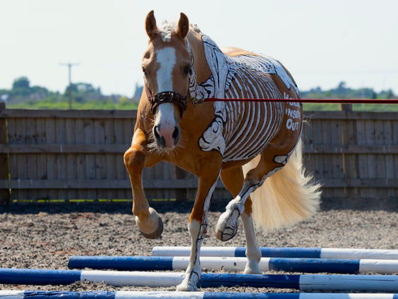 Poles for Posture