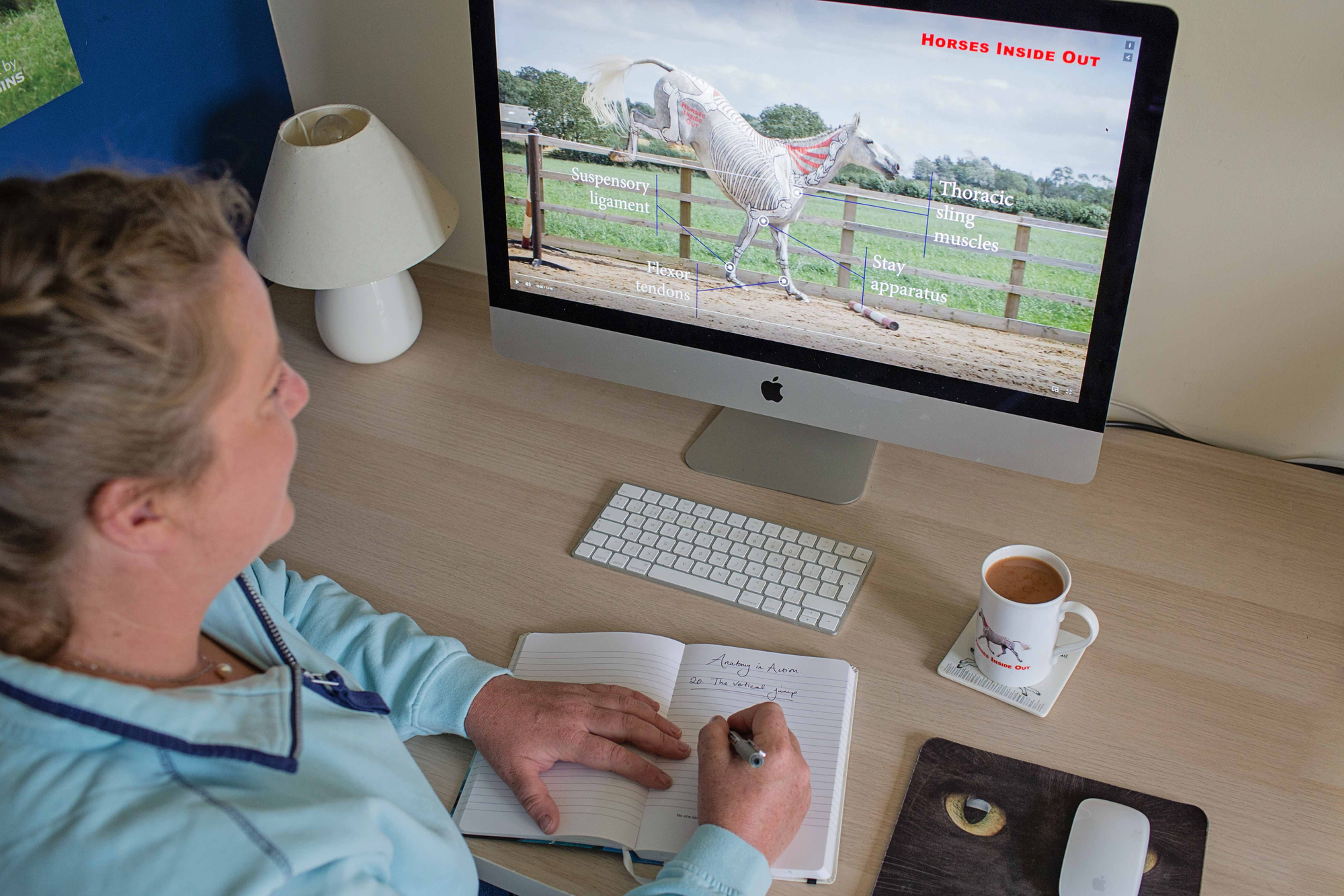 Conference 2026 VIRTUAL ATTENDANCE