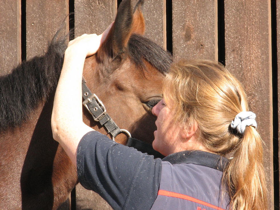 Joint Mobilisations & Musculoskeletal Testing