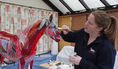 Anatomy of the muscles, tendons, ligaments of a horse, painted on a small pony model by anatomist Gillian Higgins