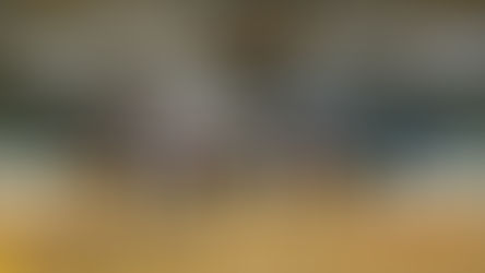 Moving Forward - Advances in Training Technology and Tack Conference 2019 Photographic Report