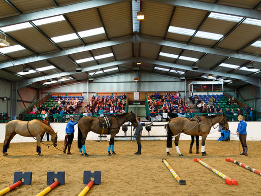 Moving Forward - Advances in Training Technology and Tack Conference 2019 Photographic Report
