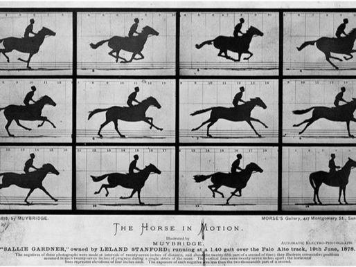 Equine Movement and Muybridge