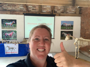 Gillian Higgins, horse skeleton horses inside out teaching barn