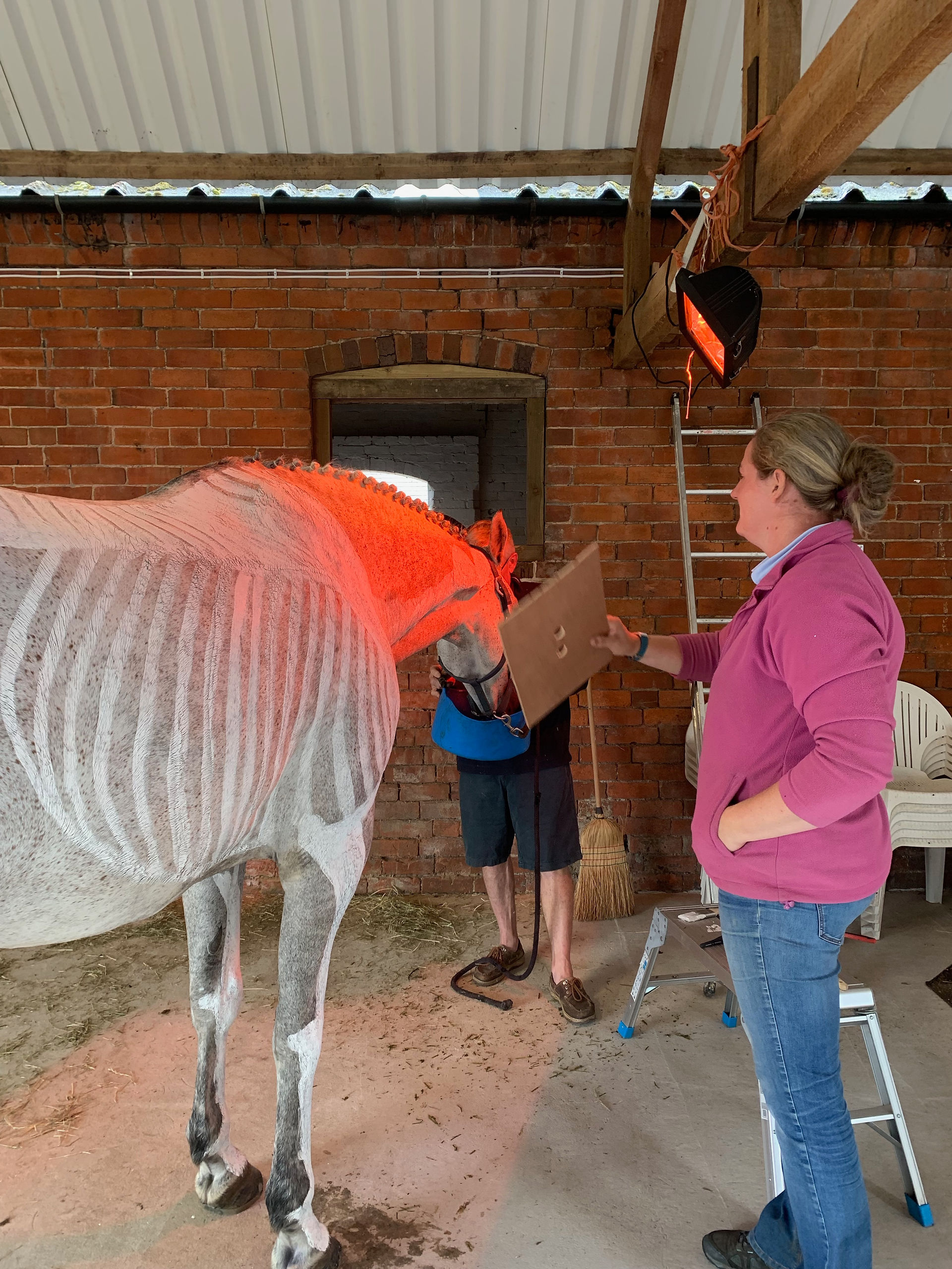 painting horse skeleton in arty at Horses inside out