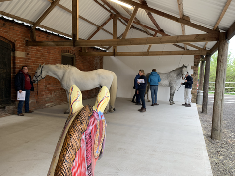 The practical teaching barn in use on a therapy CPD course with Leonardo watching!! Gillian Higgins Horses Inside Out