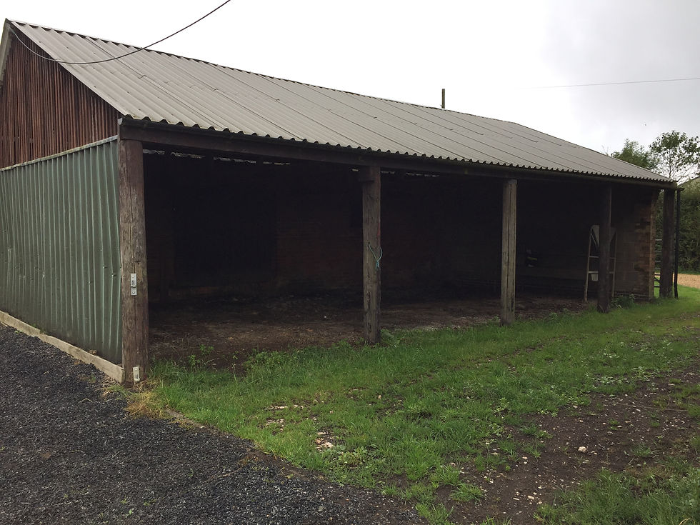 gillian higgins horses inside out before and after photo of classroom