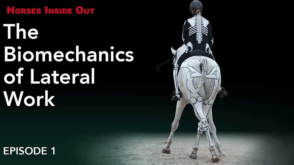 Thumbnail: The Biomechanics of Lateral Work