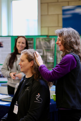 Equine touch at the horses inside out conference