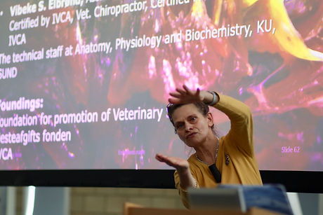 Dr Vibeke Elbrond explains equine kinetic myofascial chains at the Horses Inside Out annual conference