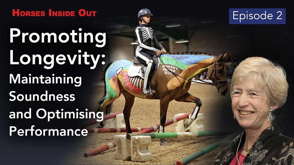 Promoting Longevity with Dr Sue Dyson