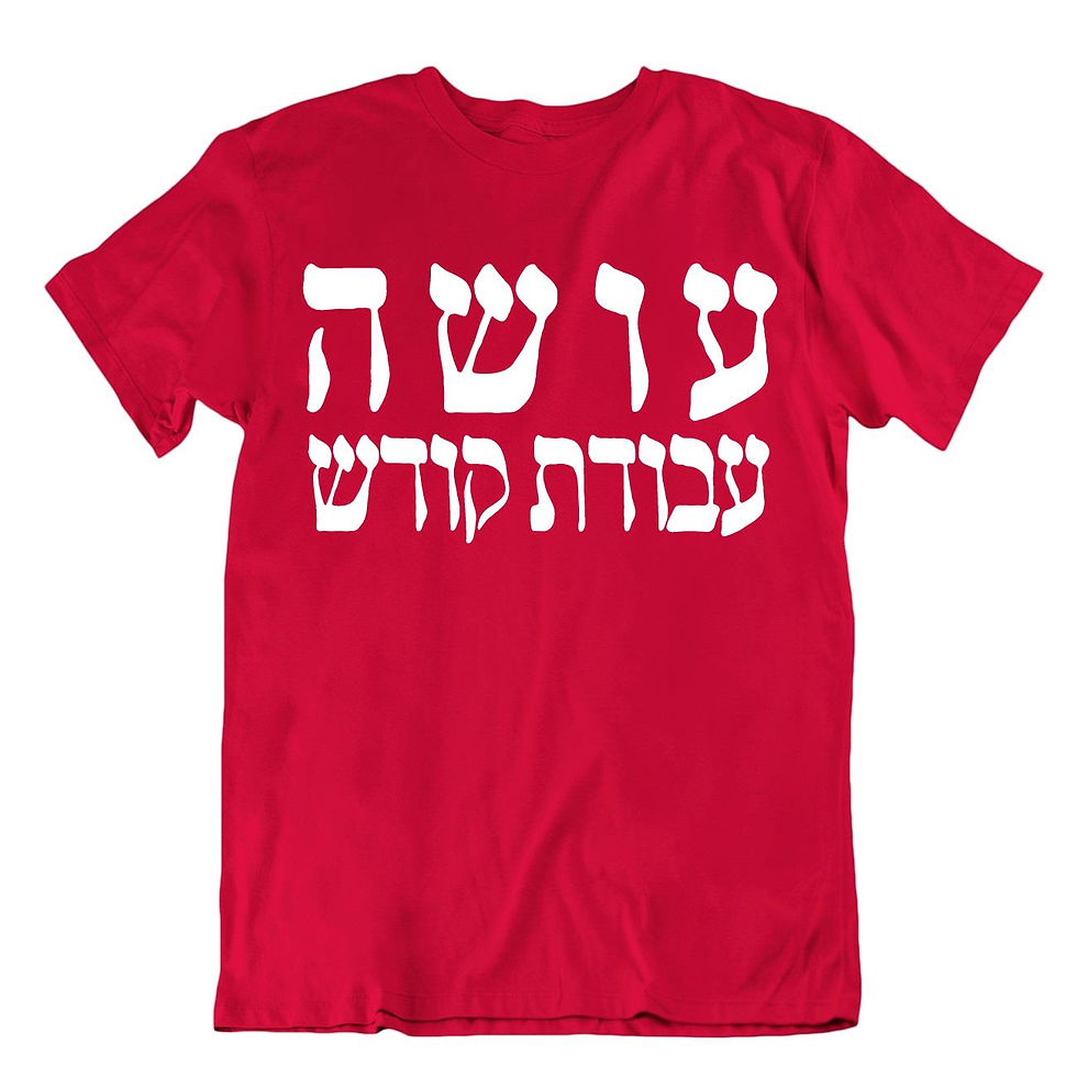 תמונה ממוזערת: חולצת עושה עבודת קודש