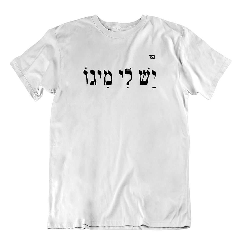 תמונה ממוזערת: חולצת מיגו