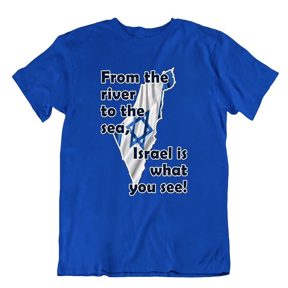 תמונה ממוזערת: Israel is what you see shirt