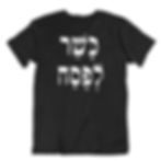 תמונה ממוזערת: חולצת כשר לפסח