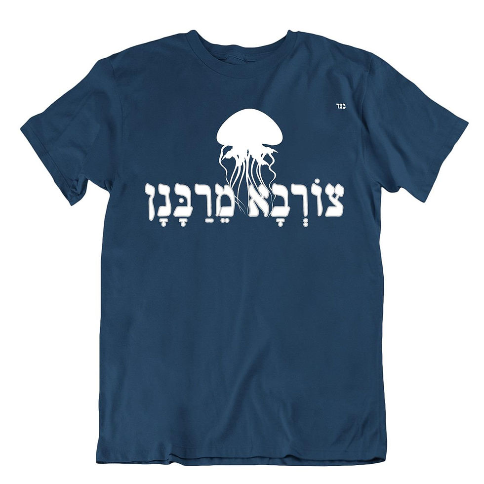 תמונה ממוזערת: חולצת צורבא מרבנן