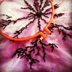 15317873_10154334282134888_7746022045835449993_n