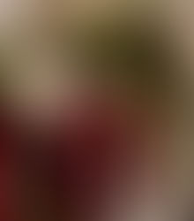 Stocking Stuffers Under $50 for Her & Him: The Ultimate Gift Guide for 2024