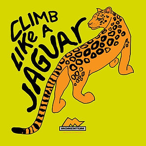 portfolio-sydney-smith-graphic-design-il