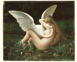 Leda and the Swan