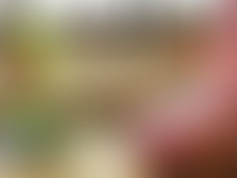 The Art and Science of Kado (華道)