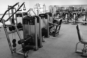 Fitness- und Krafttraining