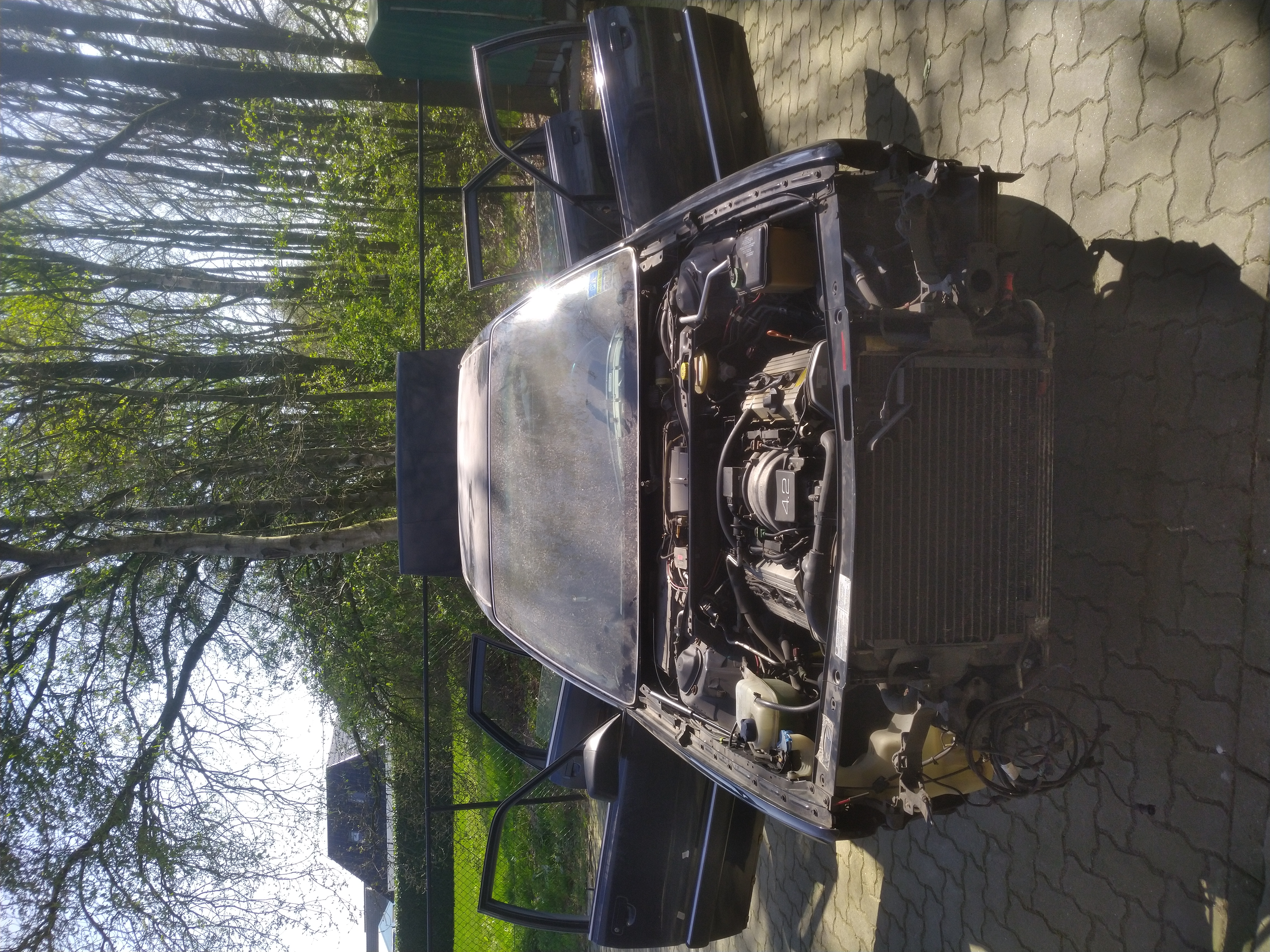 Audi 4.2 V8 D11