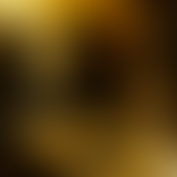 24年度講座旅行初日　2013年2月21日