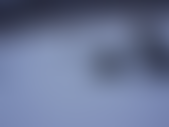 24年度講座旅行2日目 2013年2月22日