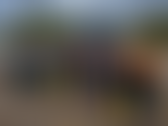 25年度講座旅行度秋 2013年10月13日