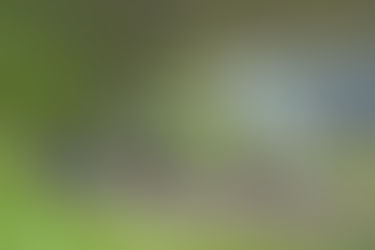 輪読会 #2：ケアと建築　2020年5月28日