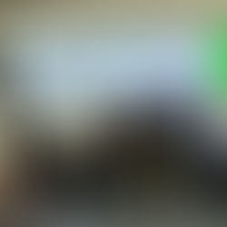 研究交流セミナー　Oya Atalay Franck教授（チューリッヒ応用科学大学）が建築計画学研究室に来訪されました。　2025年10月20日