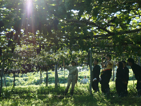 余市ワークキャンプ① 2013年9月14日