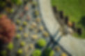 landscaped-yard.jpg