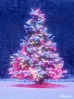 2019-11-22 ROVAC18.gif