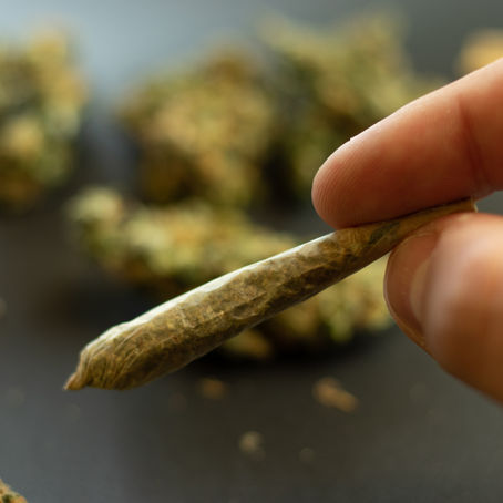 Health Concerns for Older Adults Using Cannabis