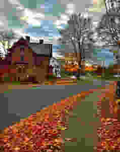Connelly Law Offices, Ltd. Autumn 2018