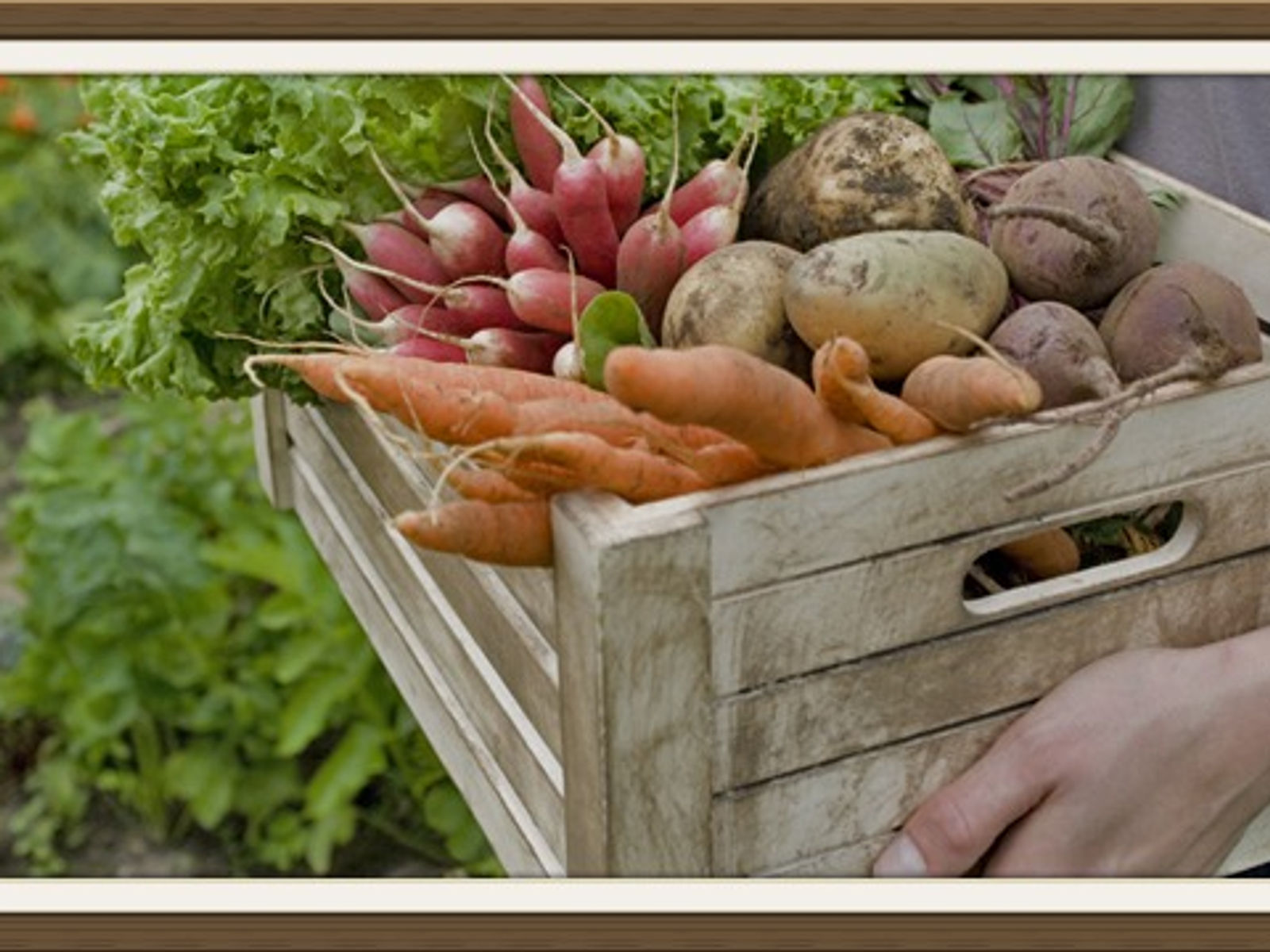 14 Carrot Whole Foods photo 22