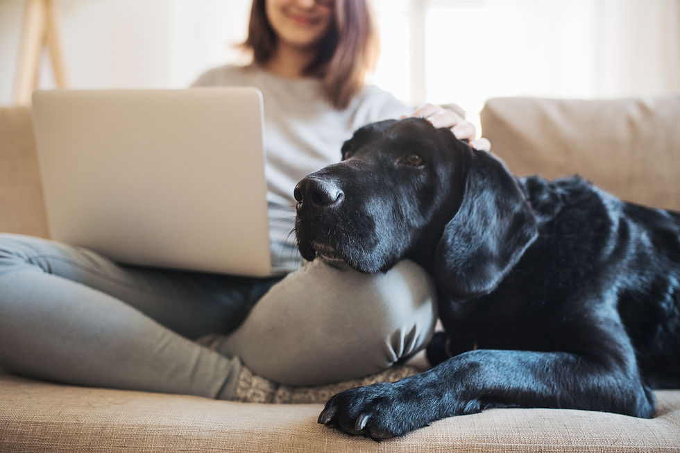 AdobeStock_242453142.jpeg