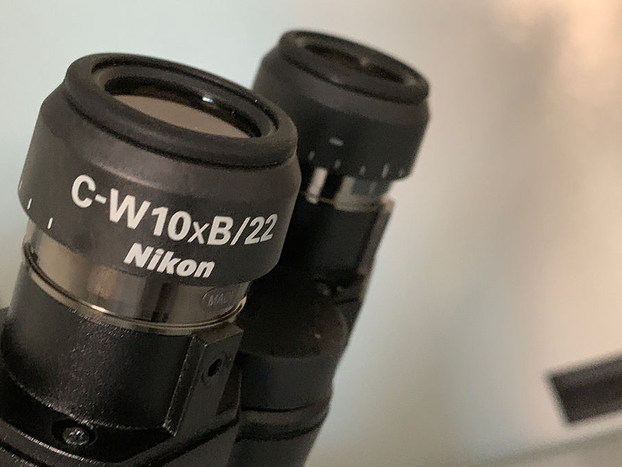 Nikon Florasan mikroskop