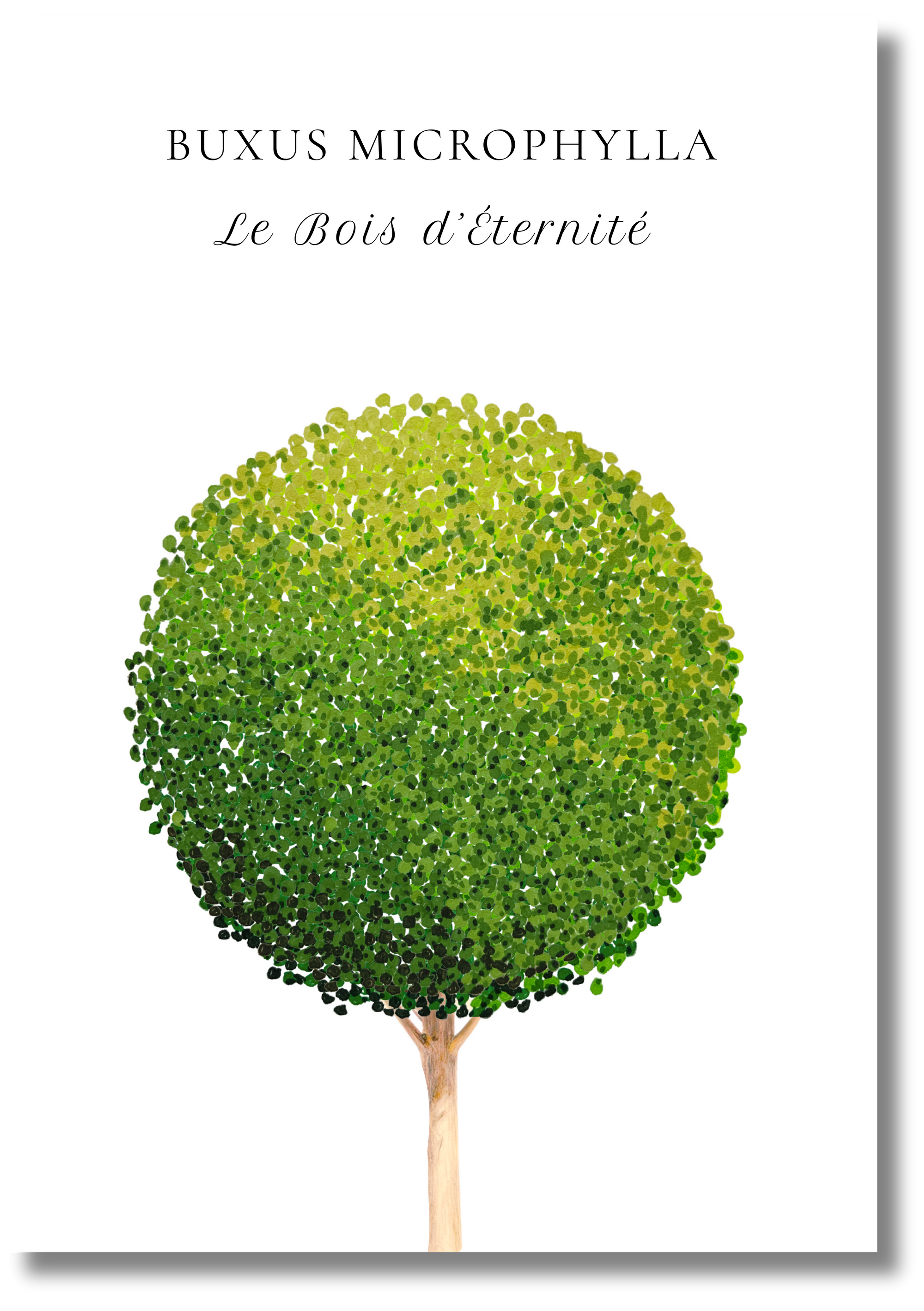 Le Bois d'Éternité