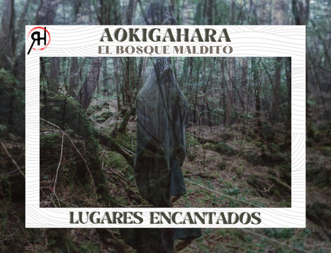 AOKIGAHARA EL BOSQUE MALDITO