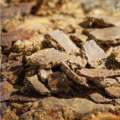 Palm Kernel Cake_Sheet.jpg
