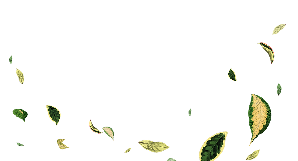 acompanamiento-medico-cannabis-terapeutico.jpg