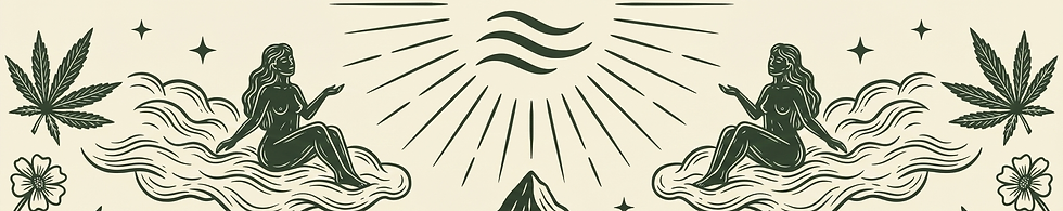 cultivo-cannabis-medicinal-tafi-del-valle-tucuman.png