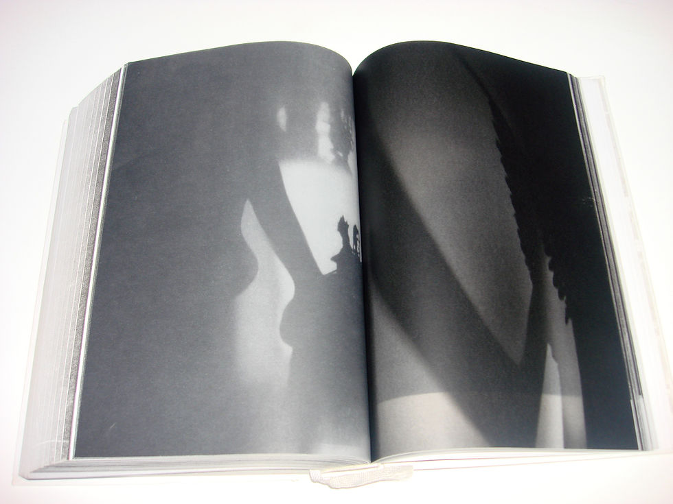 1, 3 Gr_y matter - language of shadows